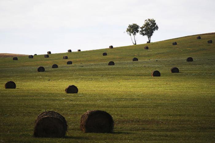 Названа важная проблема России
