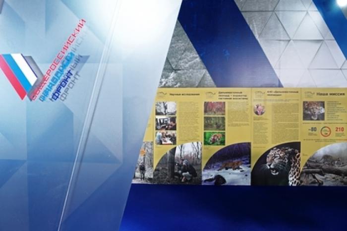 ОНФ запускает приложение «Народный контроль»