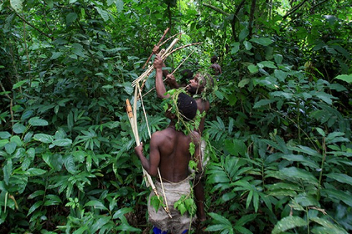 Раскрыта тайна появления загадочных пигмеев