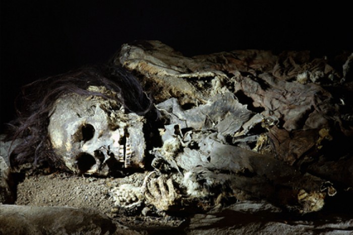 Раскрыто происхождение загадочной цивилизации Америки