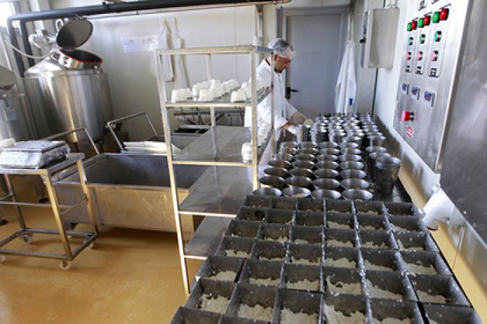 Сербия помогла Украине заработать на России