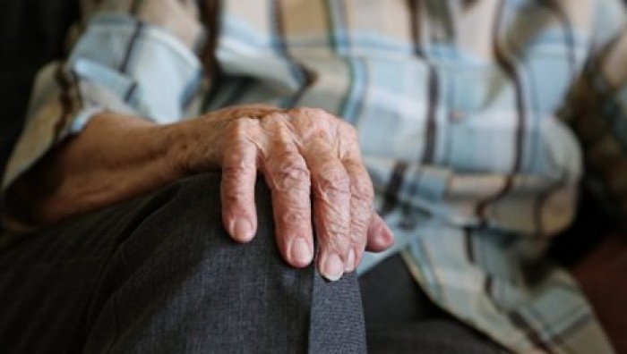 Ученые составили список продуктов, замедляющих старение