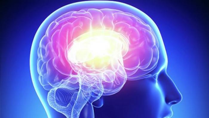 Ученые выяснили, как мозг человека запоминает и стирает информацию