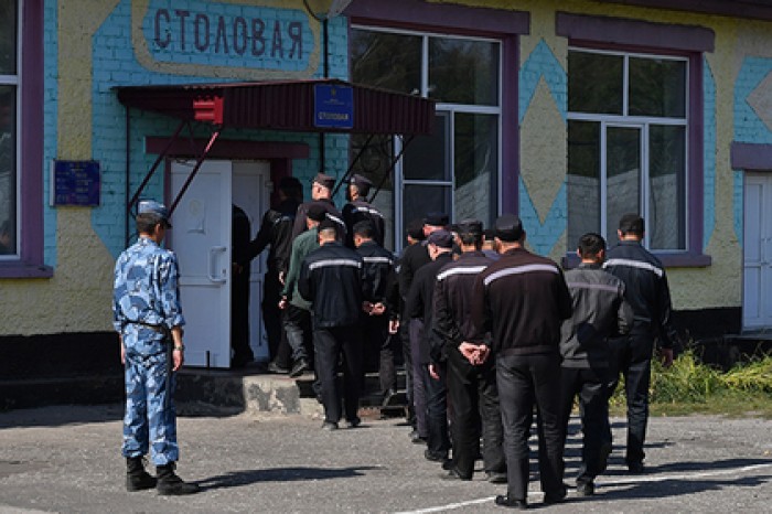 Уголовная амнистия последние новости на сегодня. Амнистии по уголовным делам в 2021 году. ИК 22 столовая. Уголовная амнистия 2021.