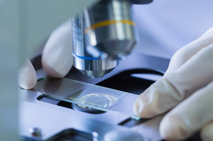 Выявлена главная причина появления сложной жизни