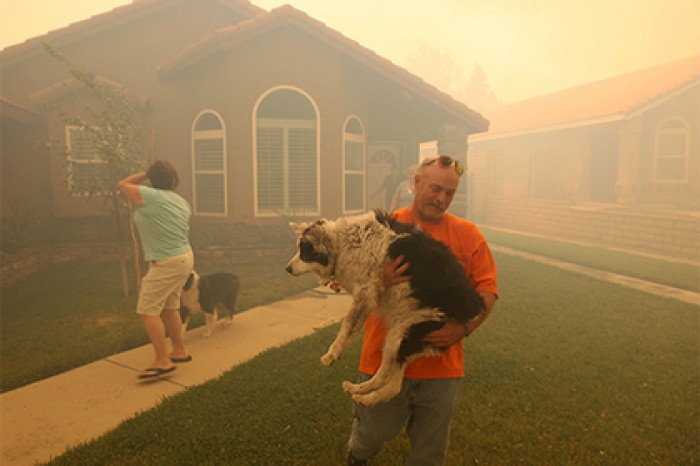 Жителей Калифорнии оставили без предупреждения о пожаре