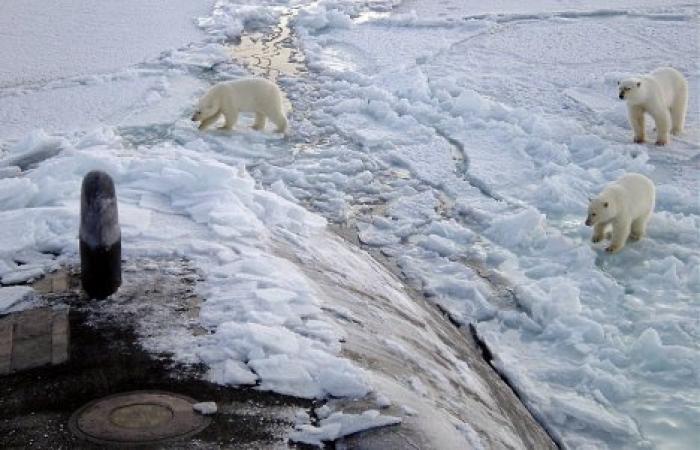 На борьбу с глобальным потеплением ежегодно будут тратить $100 миллиардов