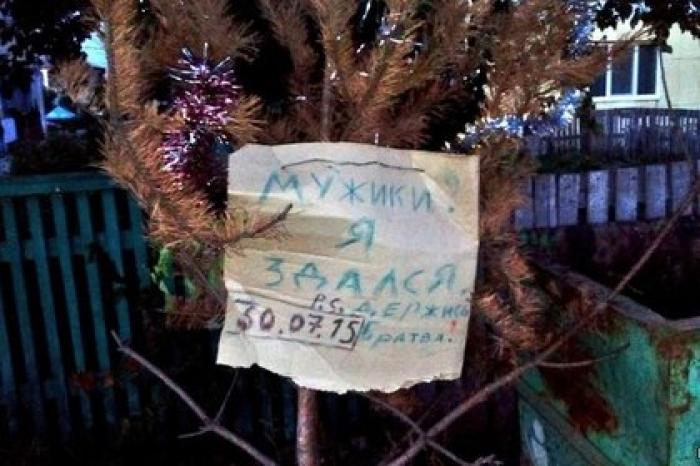 Названо число готовых продержать елку до лета россиян