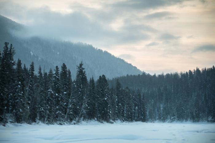 Оставшийся один в тайге трехлетний россиянин сам выбрался к людям