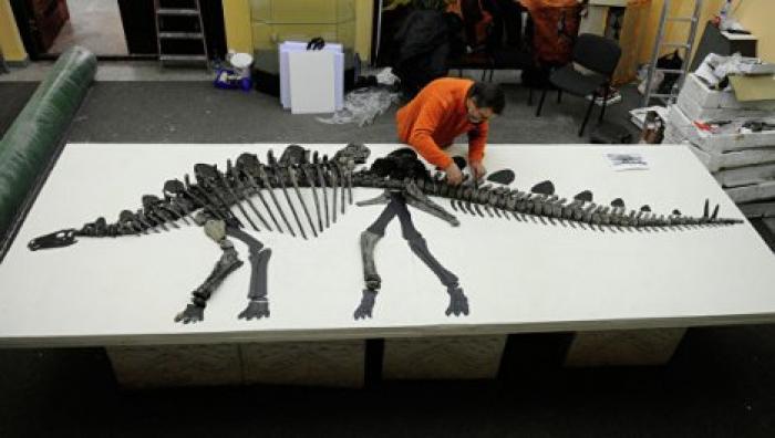 В Италии нашли останки старейшего динозавра