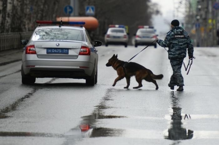 В центре Москвы нашли пакет с гранатами