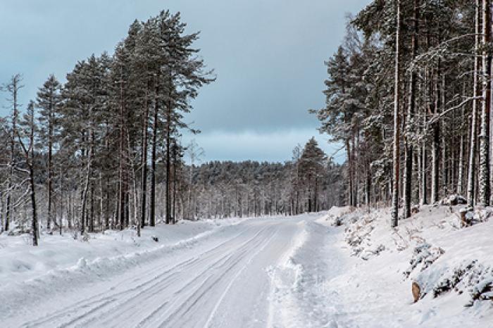 Высаженный друзьями из машины россиянин замерз насмерть
