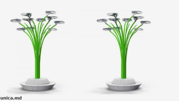 Два дерева с солнечными батареями будут установлены в столице в конце мая