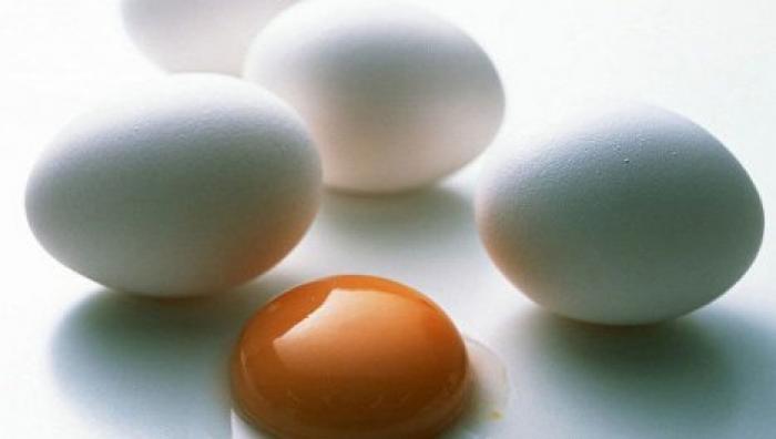 Куриные яйца станут основой лекарств нового поколения