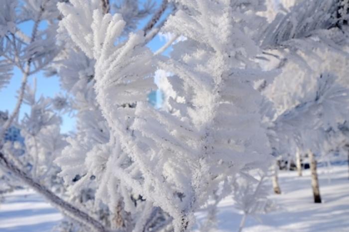 Морозы в Поволжье подобрались к рекорду