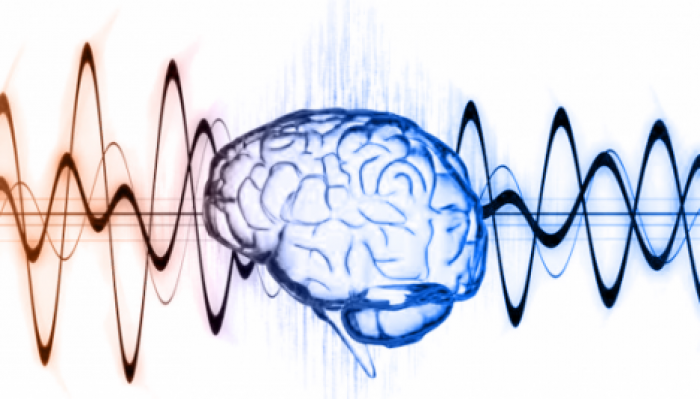 Мозговые волны научились переводить в речь