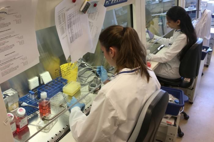 Определен признак скорого развития рака