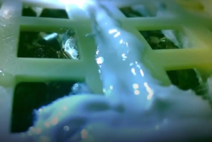 Первое пророщенное растение на Луне погибло из-за холода