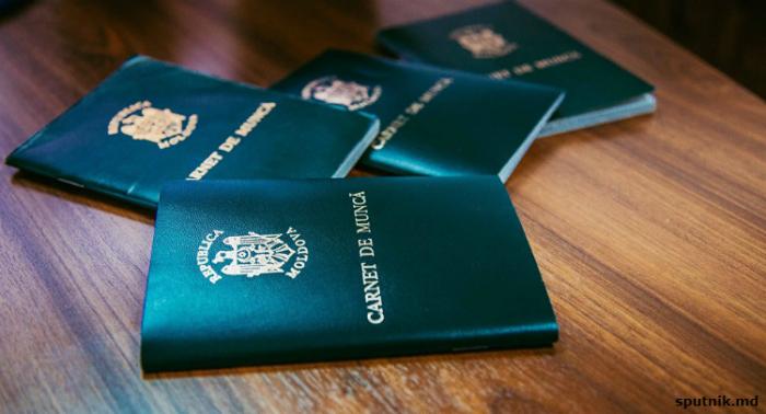 Почти все работодатели представили трудовые книжки своих сотрудников в НКСС