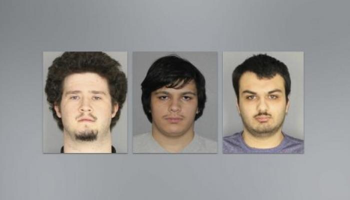 Полиция штата Нью-Йорк задержала бывших бойскаутов