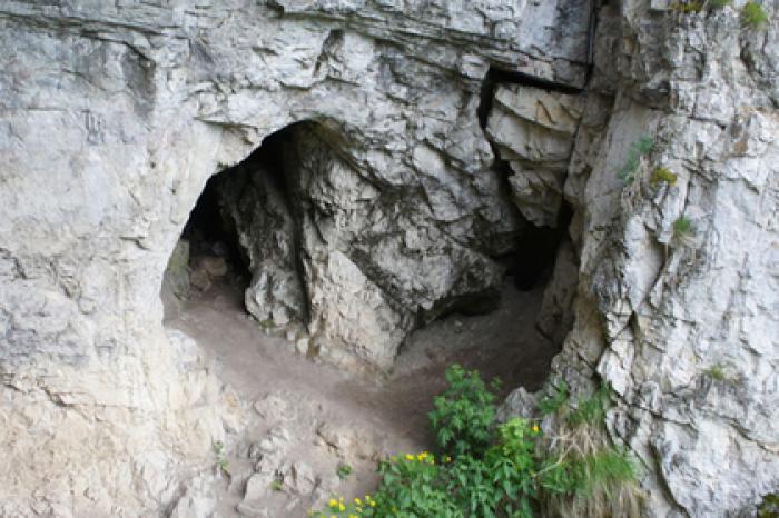 Раскрыта загадка появления древних людей в Сибири