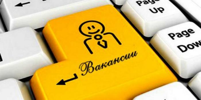 Рейтинг наиболее оплачиваемых вакансий в Молдове
