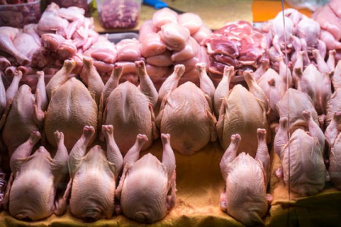 Россиян успокоили насчет цен на курицу