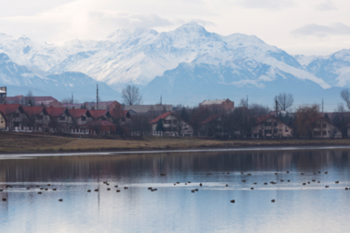 Российский регион запретил собирательство на «сопредельной территории»