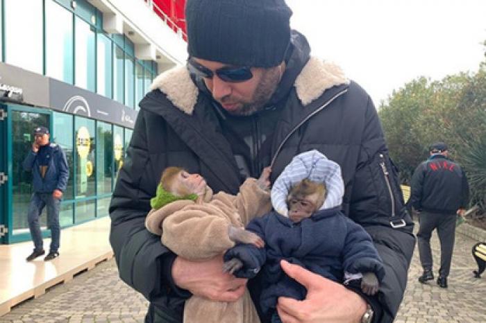 Слепаков с обезьянами высмеял молодых игроков КВН
