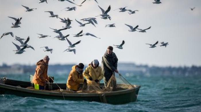 СМИ: на одном из японских островов задержаны четыре рыбака из КНДР