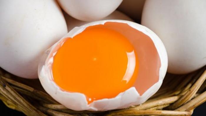 Созданы курицы, несущие яйца с человеческими белками