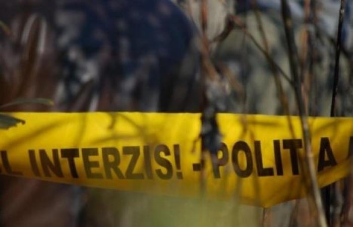 Трагедия в Каушанском районе: 56-летнего пастуха убили трое коллег по ремеслу