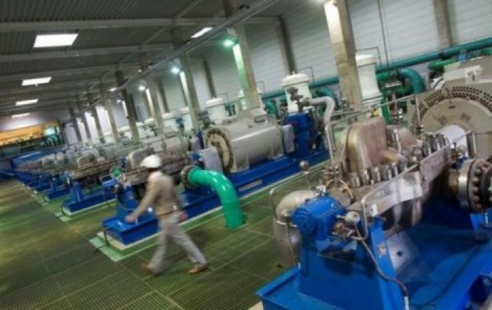 Ученые нашли причину появления гигантских мертвых зон