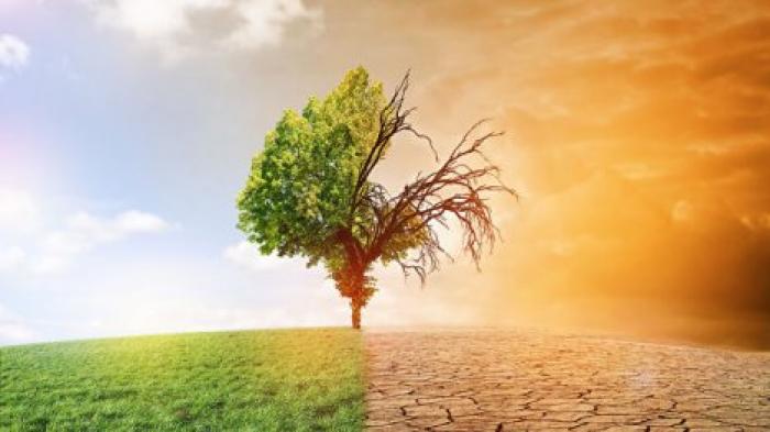 Ученые рассказали, когда климат Земли необратимо изменится