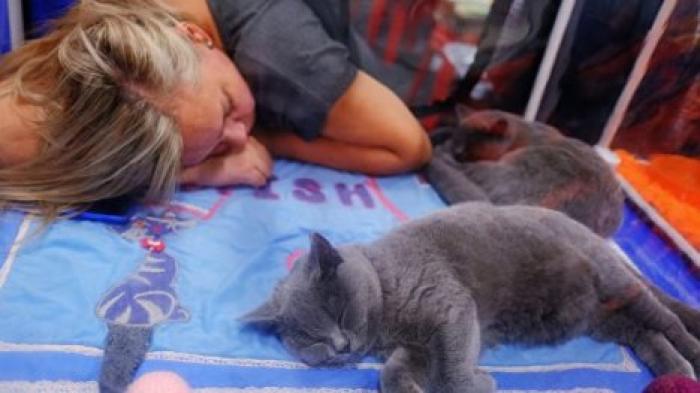 Кошки "копируют" черты и привычки хозяина, выяснили ученые