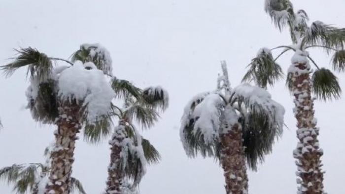 Лас-Вегас засыпало снегом