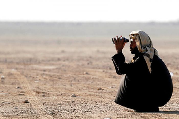 Названа польза глобального потепления