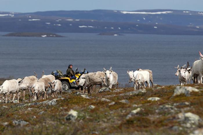 Норвегия собралась увеличить масштабы загрязнения Баренц-региона
