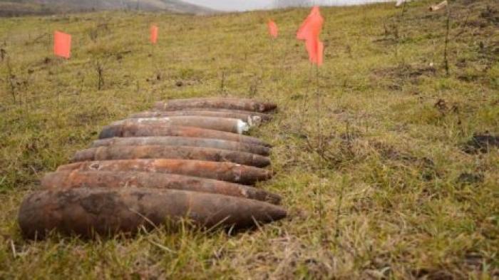 Снаряды времен Второй мировой нашли в селе Хырбовец Новоаненского района