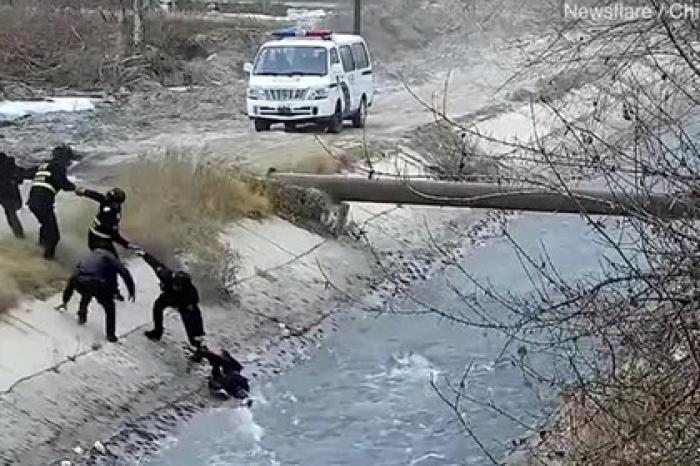 Спасение тонущего ребенка из бурлящей реки попало на видео