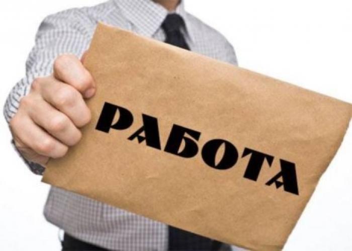 В Молдове за месяц появилось почти 500 новых вакансий