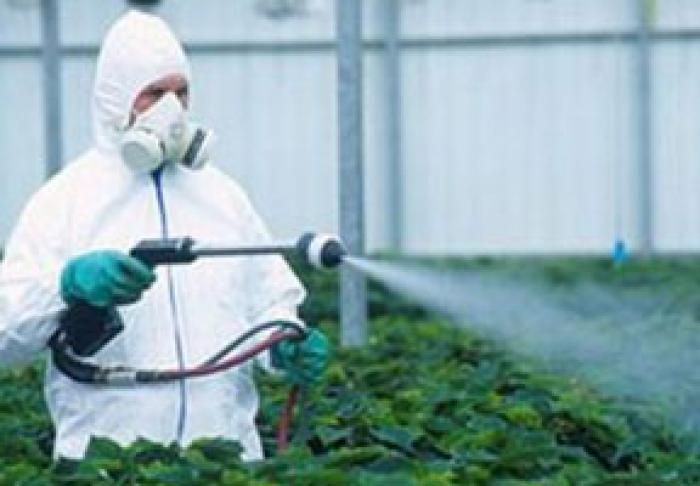 ​AGENŢIA NAŢIONALĂ PENTRU SĂNĂTATE PUBLICĂ ÎNDEAMNĂ CETĂŢENII SĂ FOLOSEASCĂ RAŢIONAL PESTICIDELE