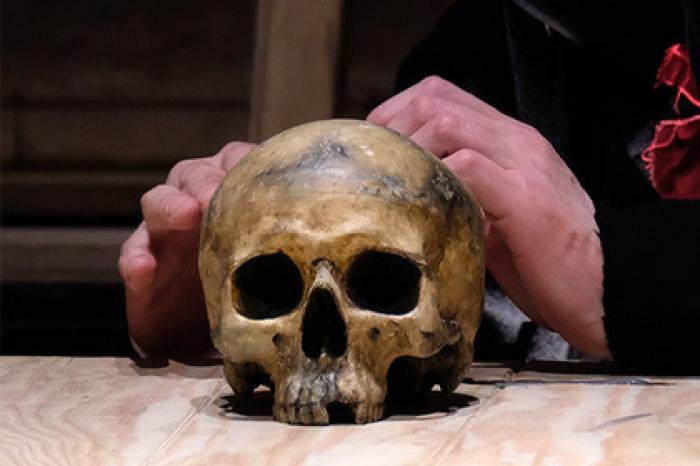 Человеческие ребра и череп нашли на востоке Москвы