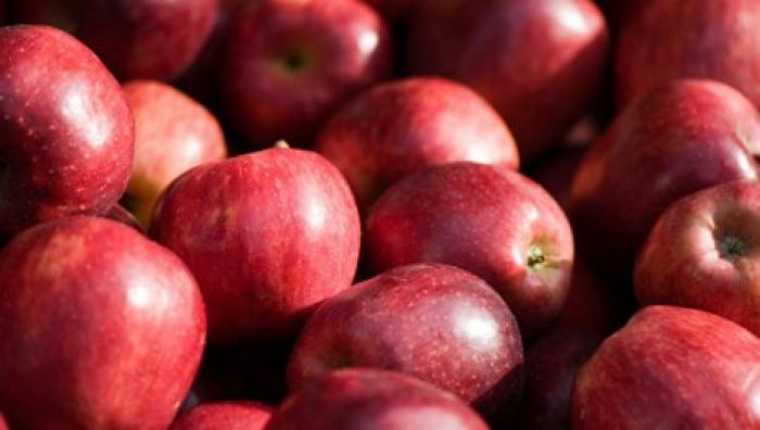 Молдавские аграрии адаптируют продукцию к новым требованиям российских покупателей