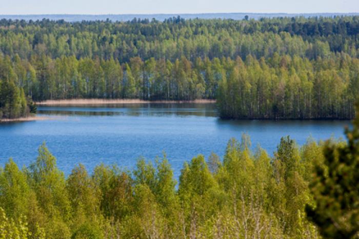 Подсчитана стоимость народного достояния России