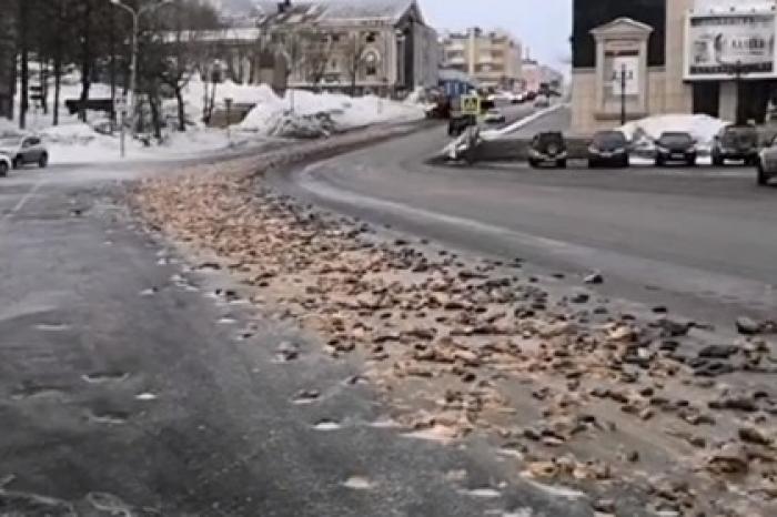 Появилось видео с разбросанными по центру российского города рыбьими головами