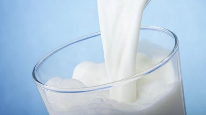 Правительство одобрило требования к качеству молочных продуктов