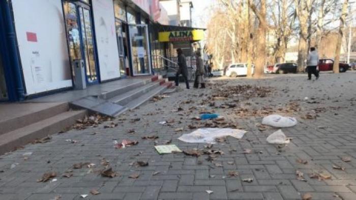 Сильный ветер в Кишиневе повалил десятки деревьев и повредил крыши домов