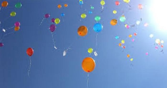 Учёные: Морские птицы умирают из-за гелиевых шаров