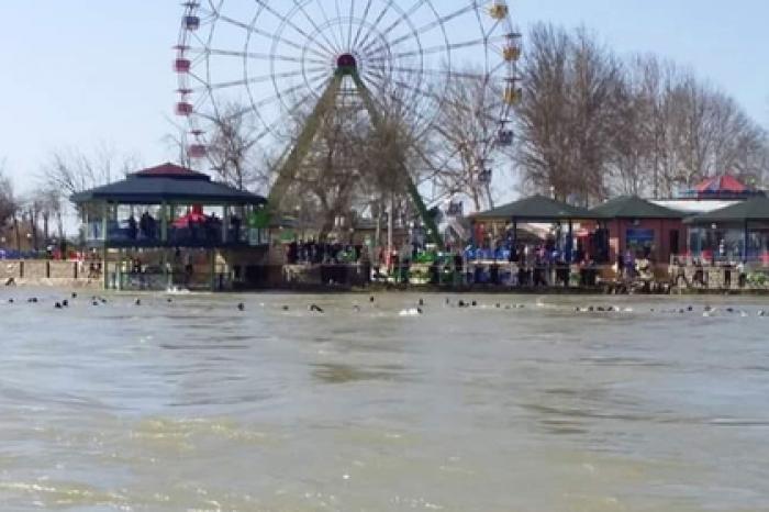 В Ираке при крушении парома погибли полсотни человек